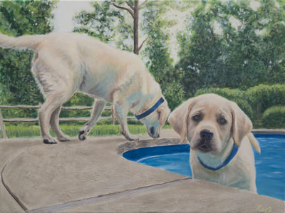Labradors, Swimming Pool, Outdoors, Dogs bathing in Pool, Oil on Canvas, Pet Portrait 