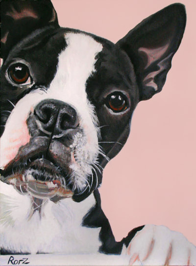 Boston Terrier, Oil Portrait, Oil on Canvas, Pet Painting, Custom Commission